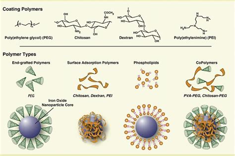 Synthesis and Modification of Nanoparticles for Surface 